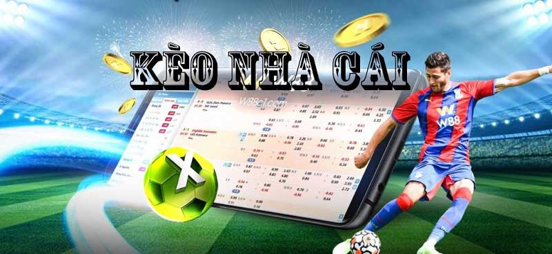 Bí Kíp Soi Kèo Nhà Cái Chuẩn Xác & Hiệu Quả Nhất 2024